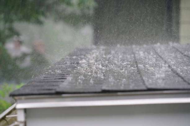 Best Hot Roofs  in Bloomfield, NY