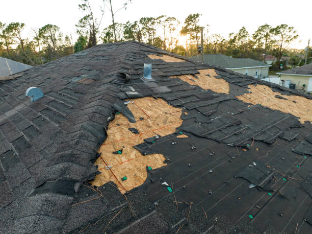 Best Rubber Roofing (EPDM, TPO)  in Bloomfield, NY