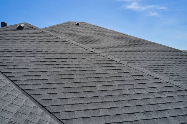 Best Roof Moss and Algae Removal  in Bloomfield, NY