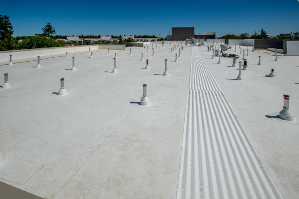 Best 4 Ply Roofing  in Bloomfield, NY